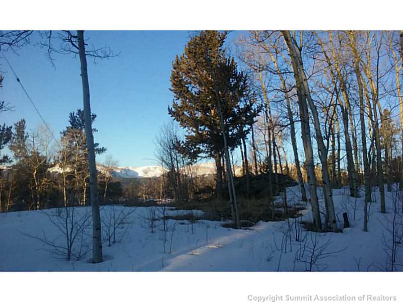855 Beaver Ridge Road Fairplay, CO 80440 - Photo 25 of 25 View.
