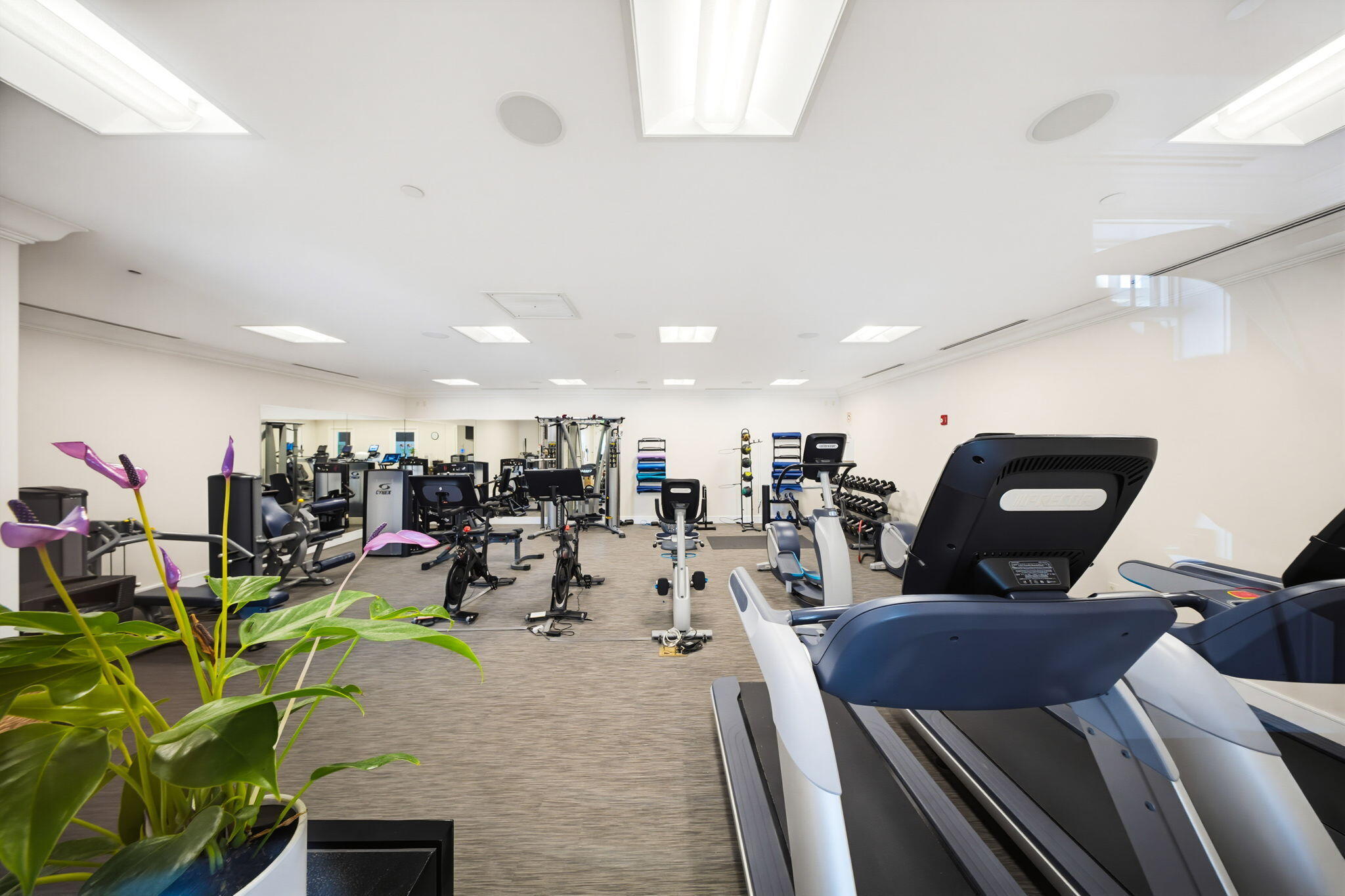 293 Sunset Key Drive Key West, FL 33040 - Photo 65 of 74 Gym