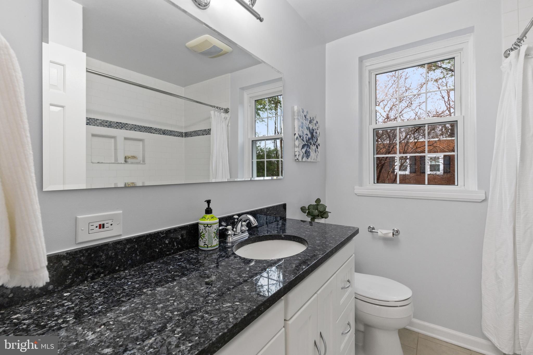 4628 31st Road South Arlington, VA 22206 - Photo 15 of 55 Beautifully updated bathroom
