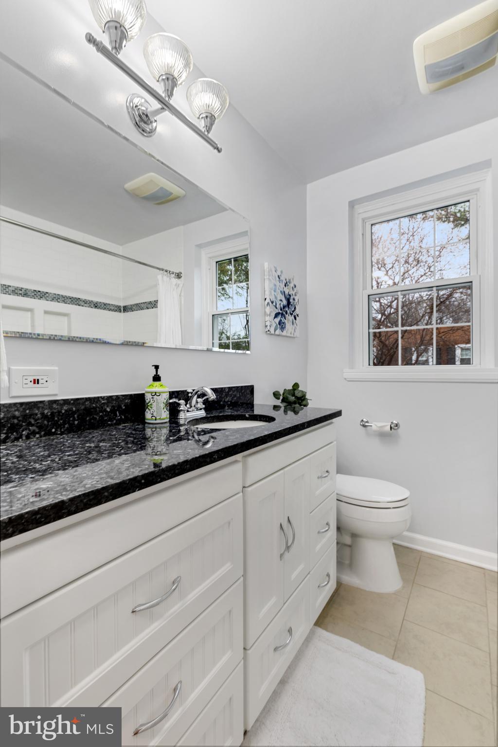 4628 31st Road South Arlington, VA 22206 - Photo 16 of 55 Oversized vanity with tons of storage space!