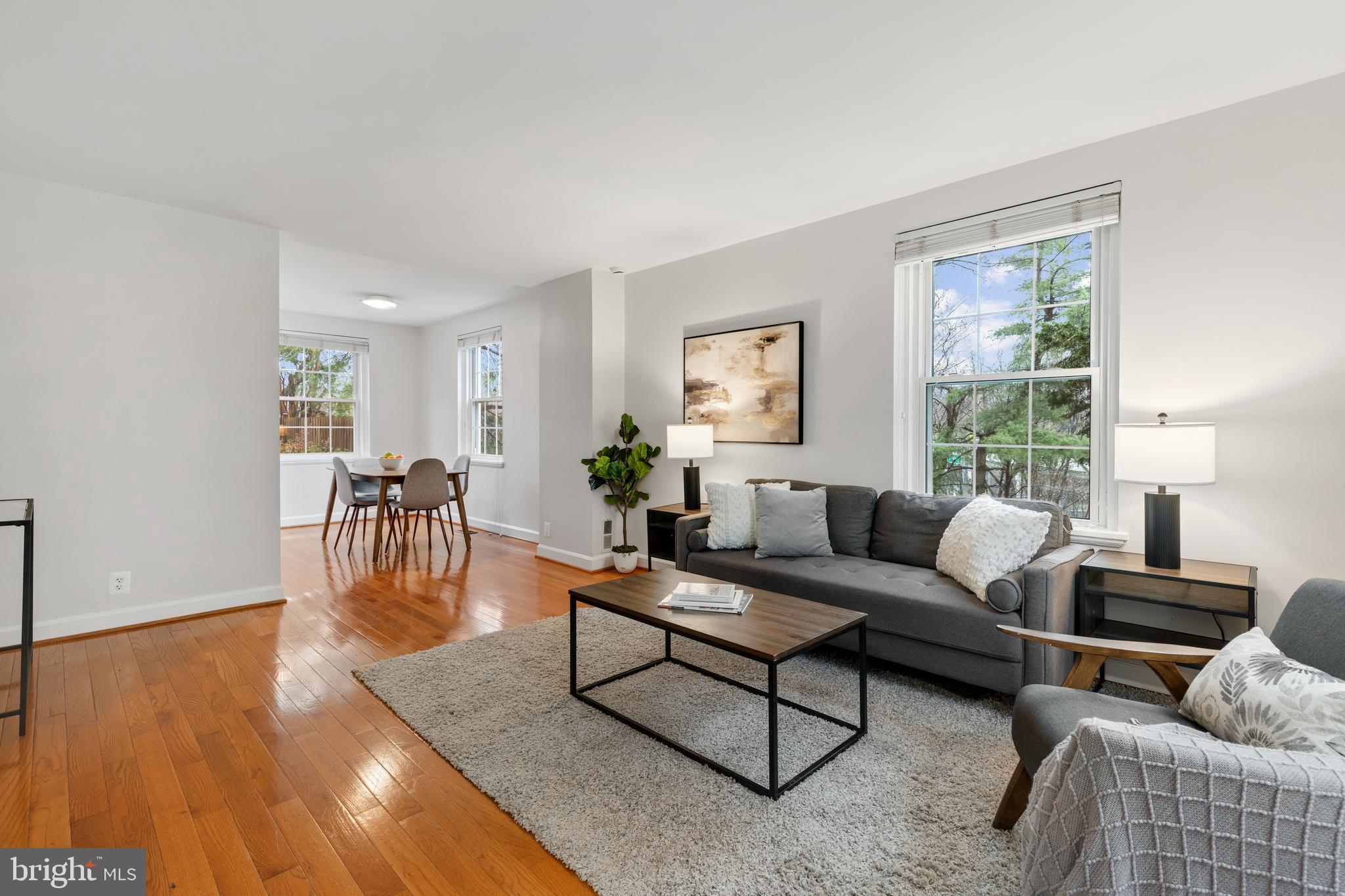 4628 31st Road South Arlington, VA 22206 - Photo 3 of 55 Light-filled main living level