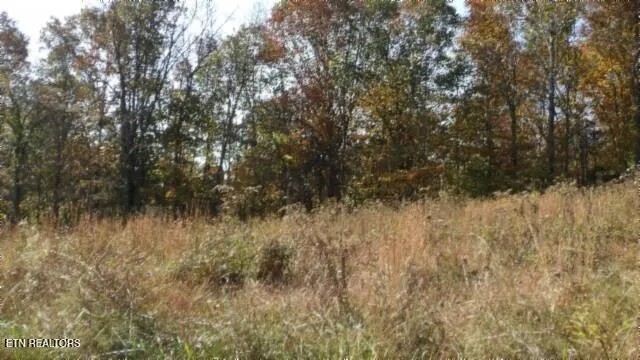 $79,900 | 8.60-ac 8.60-ac Moss Arcot Road, Celina, TN 38551