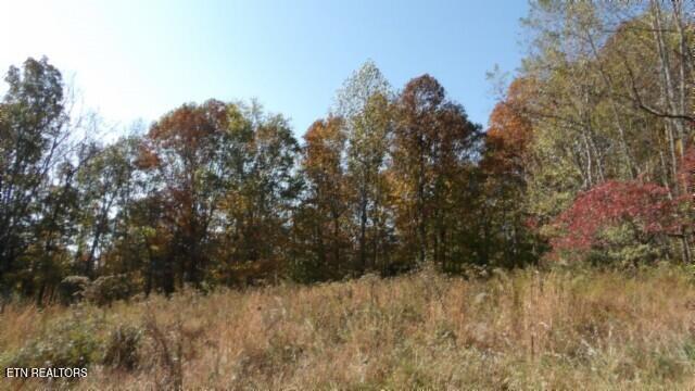 8.60-ac 8.60-ac Moss Arcot Road Celina, TN 38551 - Photo 12 of 59 100_0022