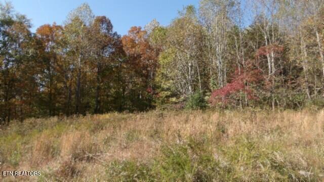 8.60-ac 8.60-ac Moss Arcot Road Celina, TN 38551 - Photo 15 of 59 100_0025