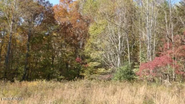 $79,900 | 8.60-ac 8.60-ac Moss Arcot Road, Celina, TN 38551