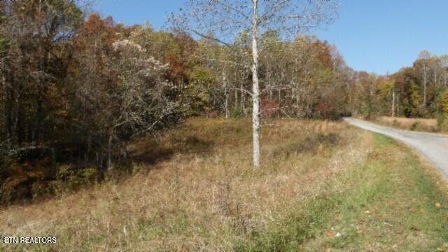 8.60-ac 8.60-ac Moss Arcot Road Celina, TN 38551 - Photo 20 of 59 100_0032
