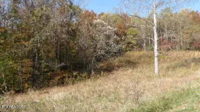 $79,900 | 8.60-ac 8.60-ac Moss Arcot Road, Celina, TN 38551