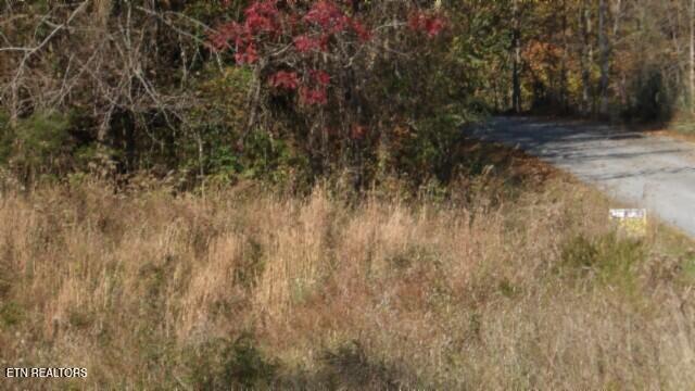 8.60-ac 8.60-ac Moss Arcot Road Celina, TN 38551 - Photo 23 of 59 100_0038