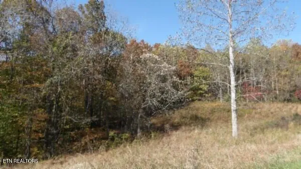 $79,900 | 8.60-ac 8.60-ac Moss Arcot Road, Celina, TN 38551