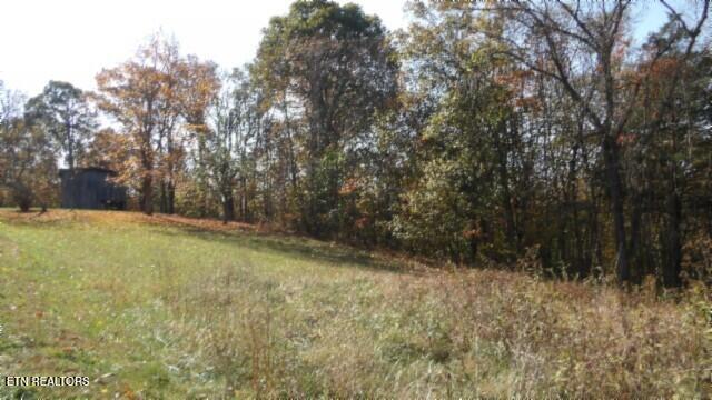 8.60-ac 8.60-ac Moss Arcot Road Celina, TN 38551 - Photo 26 of 59 100_0041