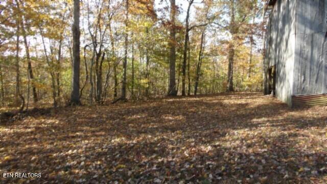 8.60-ac 8.60-ac Moss Arcot Road Celina, TN 38551 - Photo 27 of 59 100_0044