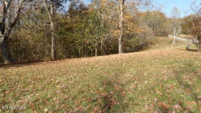 8.60-ac 8.60-ac Moss Arcot Road Celina, TN 38551 - Photo 34 of 59 100_0054