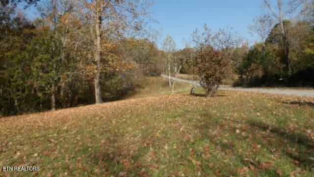 8.60-ac 8.60-ac Moss Arcot Road Celina, TN 38551 - Photo 35 of 59 100_0055