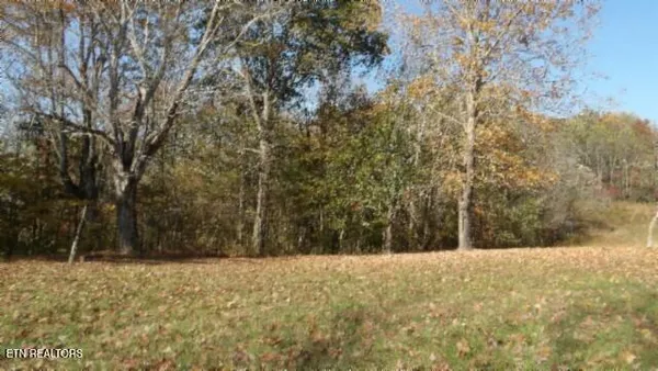 $79,900 | 8.60-ac 8.60-ac Moss Arcot Road, Celina, TN 38551