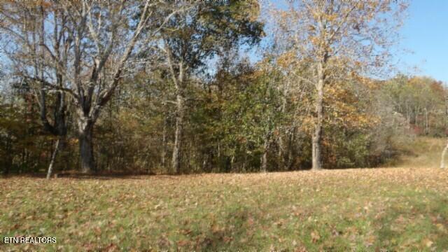 8.60-ac 8.60-ac Moss Arcot Road Celina, TN 38551 - Photo 37 of 59 100_0061