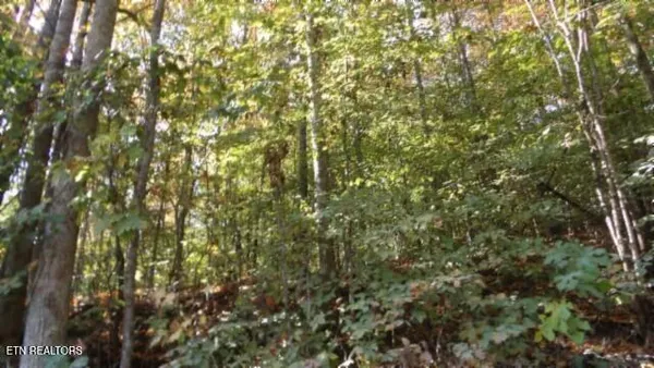 $79,900 | 8.60-ac 8.60-ac Moss Arcot Road, Celina, TN 38551