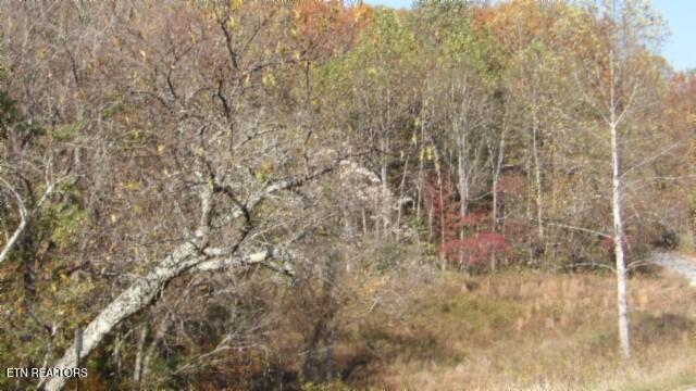 8.60-ac 8.60-ac Moss Arcot Road Celina, TN 38551 - Photo 41 of 59 100_0065