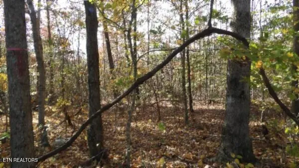 $79,900 | 8.60-ac 8.60-ac Moss Arcot Road, Celina, TN 38551