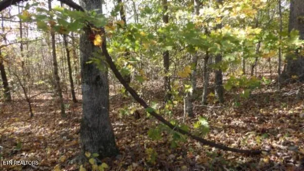 $79,900 | 8.60-ac 8.60-ac Moss Arcot Road, Celina, TN 38551