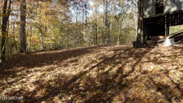 $79,900 | 8.60-ac 8.60-ac Moss Arcot Road, Celina, TN 38551