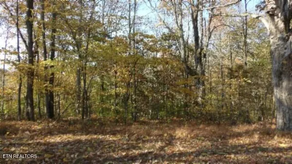 $79,900 | 8.60-ac 8.60-ac Moss Arcot Road, Celina, TN 38551