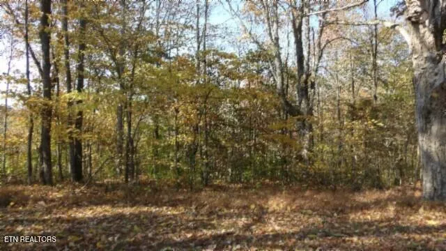 $79,900 | 8.60-ac 8.60-ac Moss Arcot Road, Celina, TN 38551