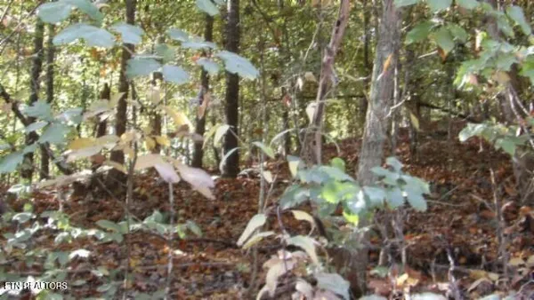 $79,900 | 8.60-ac 8.60-ac Moss Arcot Road, Celina, TN 38551