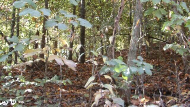 8.60-ac 8.60-ac Moss Arcot Road Celina, TN 38551 - Photo 5 of 59 100_0007