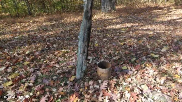 $79,900 | 8.60-ac 8.60-ac Moss Arcot Road, Celina, TN 38551