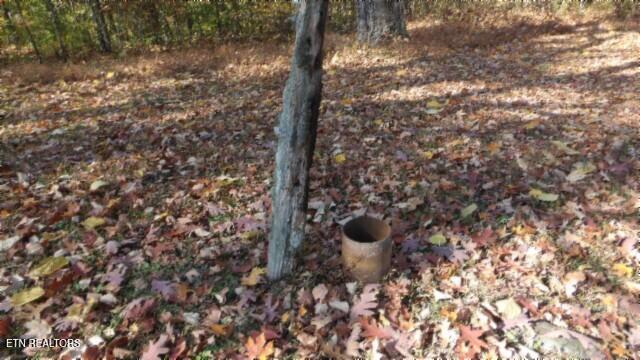 8.60-ac 8.60-ac Moss Arcot Road Celina, TN 38551 - Photo 51 of 59 100_0088