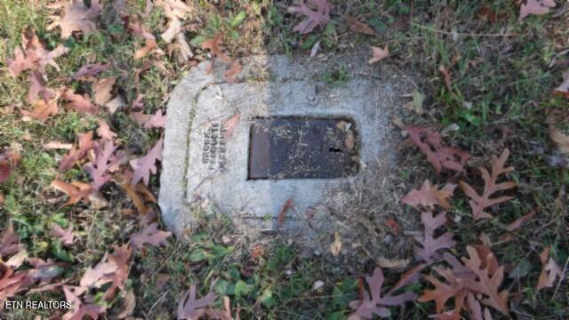 8.60-ac 8.60-ac Moss Arcot Road Celina, TN 38551 - Photo 53 of 59 100_0097