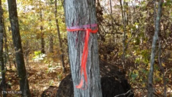 $79,900 | 8.60-ac 8.60-ac Moss Arcot Road, Celina, TN 38551