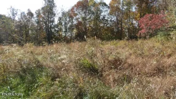 $79,900 | 8.60-ac 8.60-ac Moss Arcot Road, Celina, TN 38551