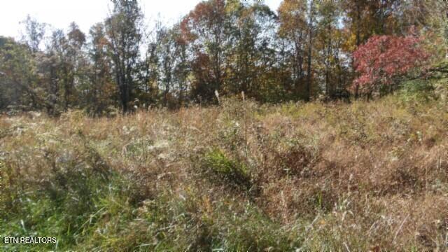 8.60-ac 8.60-ac Moss Arcot Road Celina, TN 38551 - Photo 8 of 59 100_0012