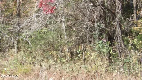 $79,900 | 8.60-ac 8.60-ac Moss Arcot Road, Celina, TN 38551