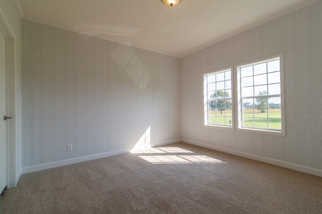 2482 Tom Lodge Road Quitman, GA 31643 - Photo 22 of 28 Gallery Image 22