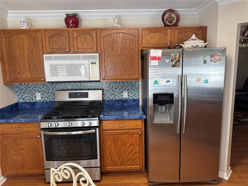 9711 Southwest 92nd Place Road Ocala, FL 34481 - Photo 5 of 17