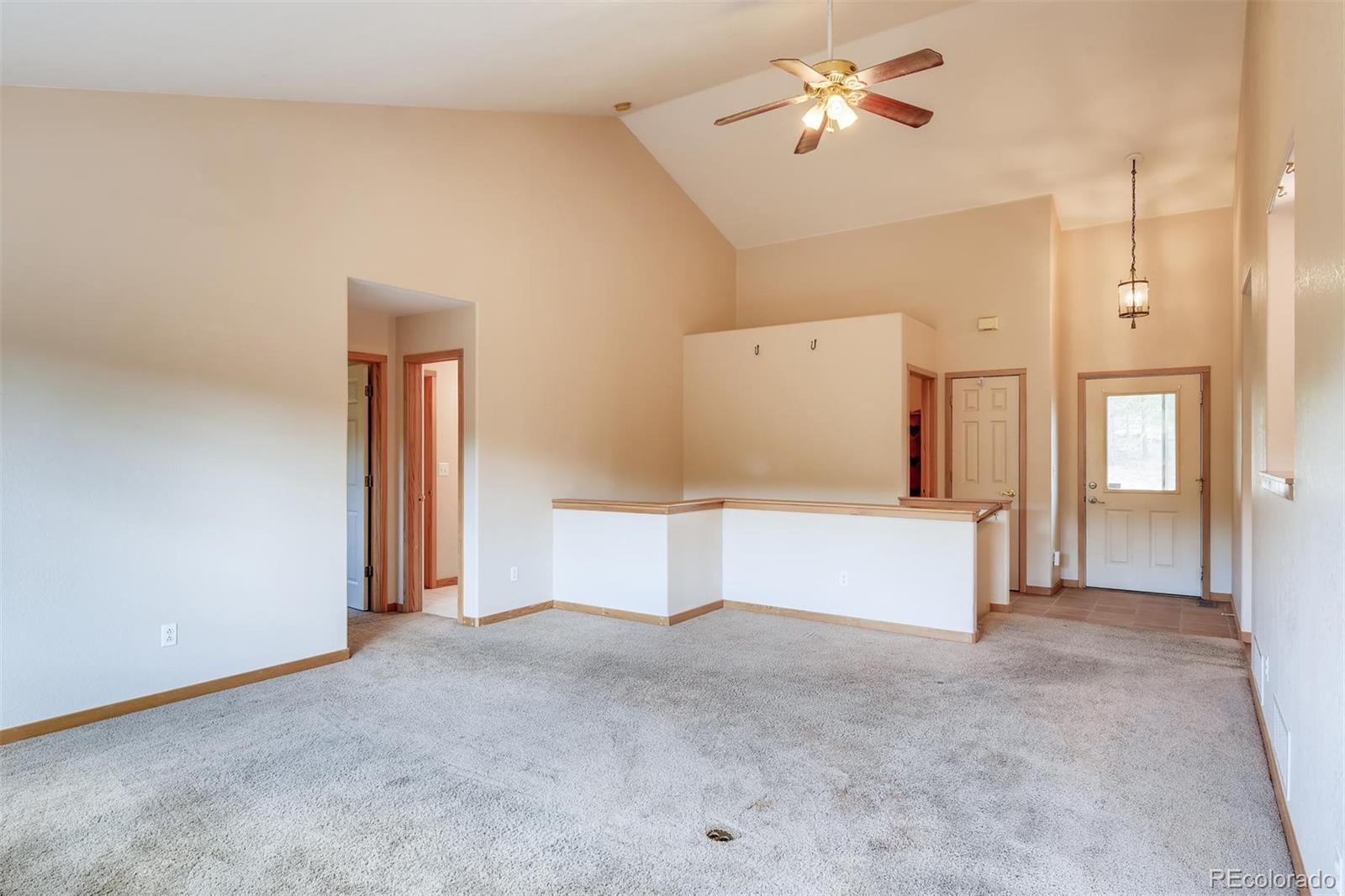 96 Chickadee Lane Bailey, CO 80421 - Photo 5 of 40 Gallery Image 5
