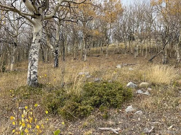 a view of yard with trees