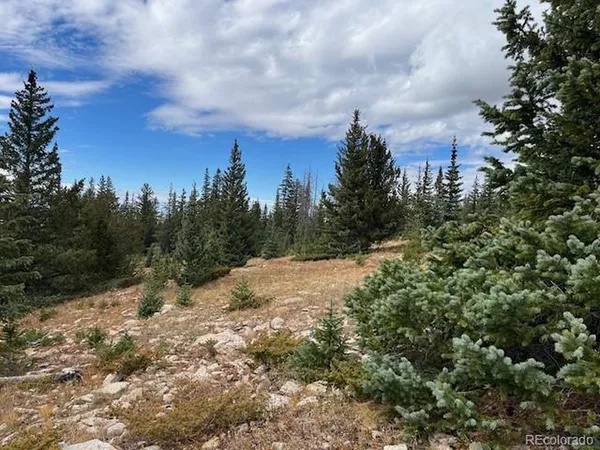 a view of a covered with trees in the background