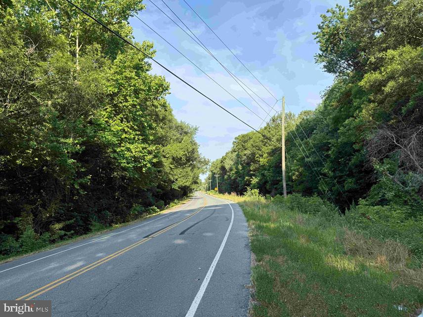 Sarecta Road Kenansville, NC 28349 - Photo 28 of 28
