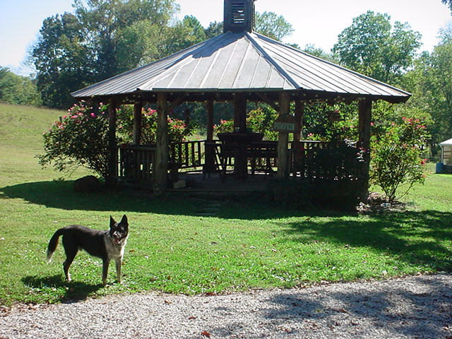 508 Cross Valley Road La Follette, TN 37766 - Photo 4 of 17 DSC01565