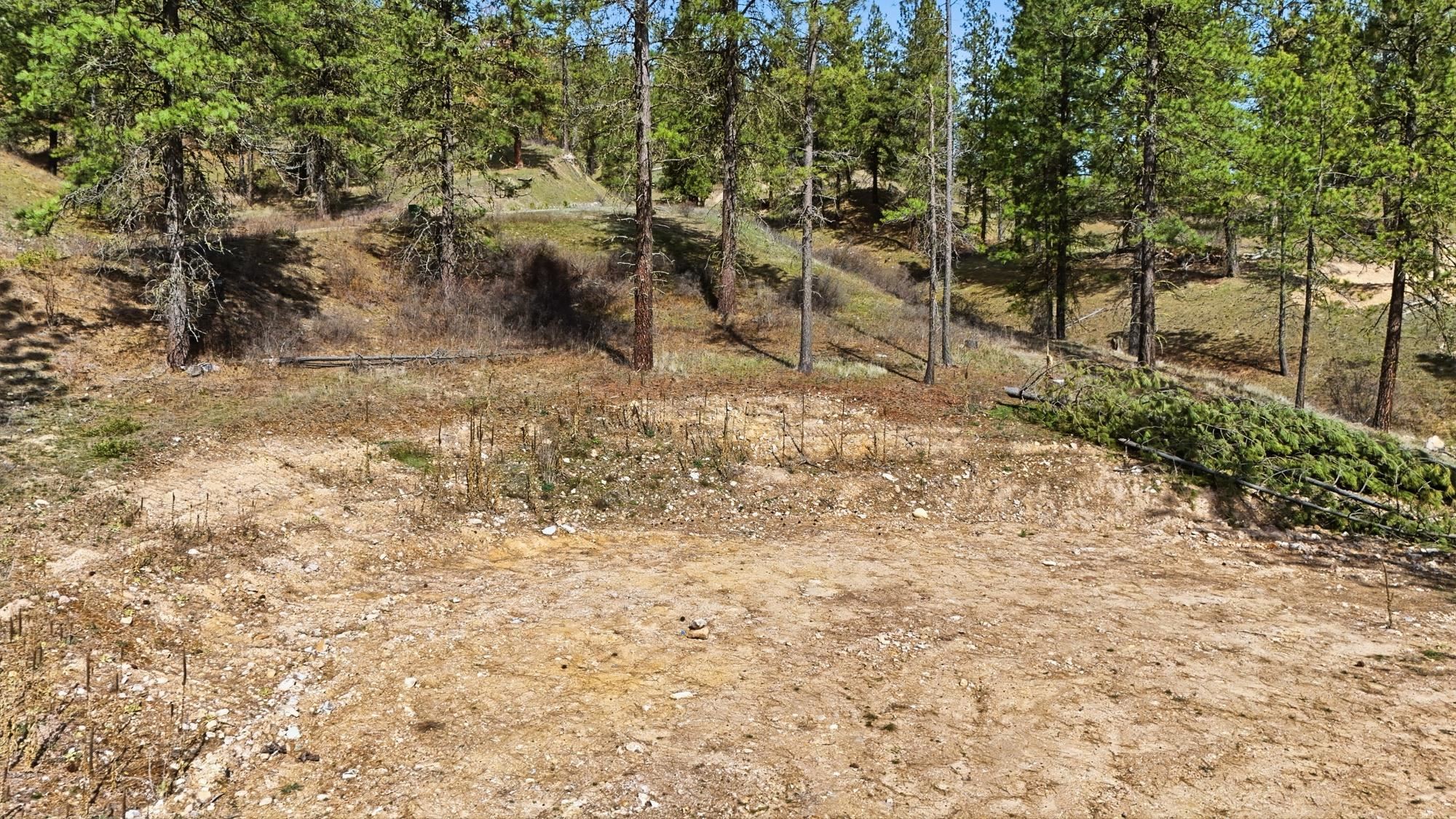 2600 Pine Top Blk Road Chewelah, WA 99109 - Photo 1 of 24