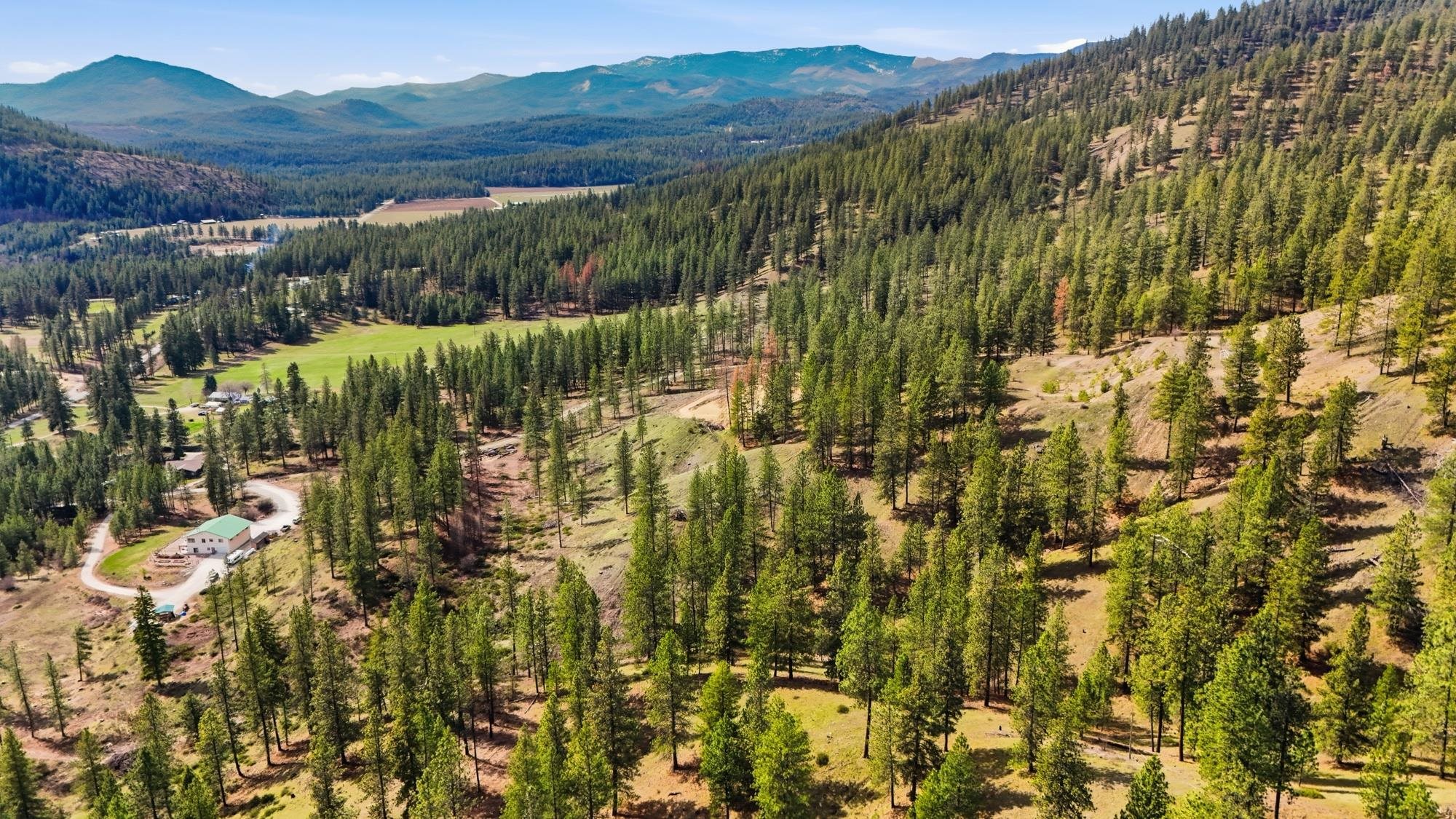 2600 Pine Top Blk Road Chewelah, WA 99109 - Photo 18 of 24