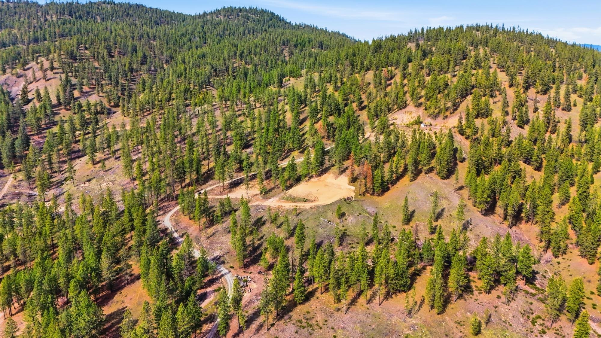 2600 Pine Top Blk Road Chewelah, WA 99109 - Photo 21 of 24
