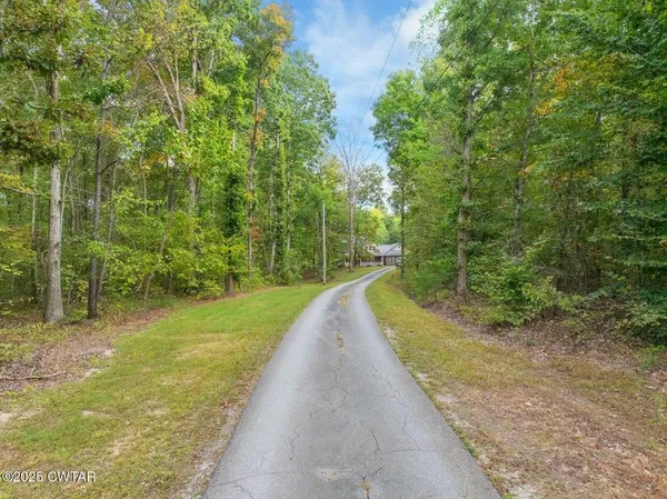 a view of a yard with trees