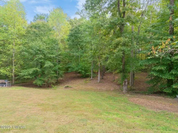 a view of a forest with trees in the background