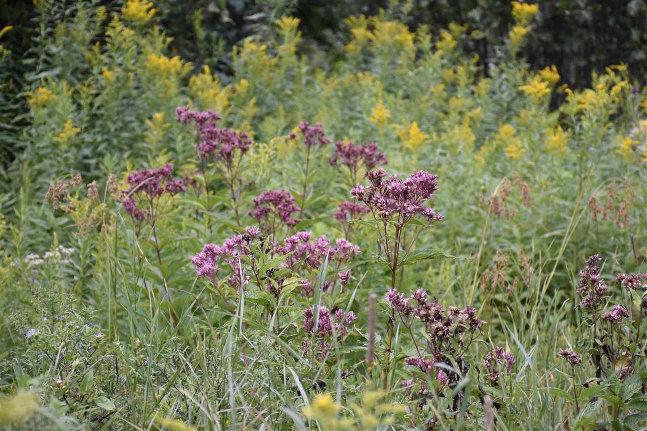 0 Recreation Field Road Plainfield, VT 05667 - Photo 12 of 28
