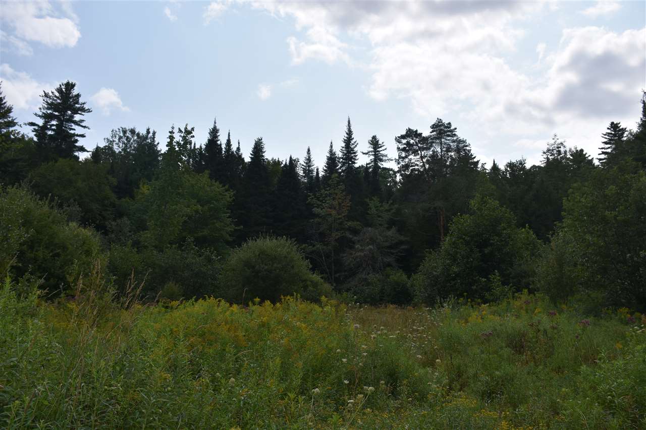 0 Recreation Field Road Plainfield, VT 05667 - Photo 14 of 28