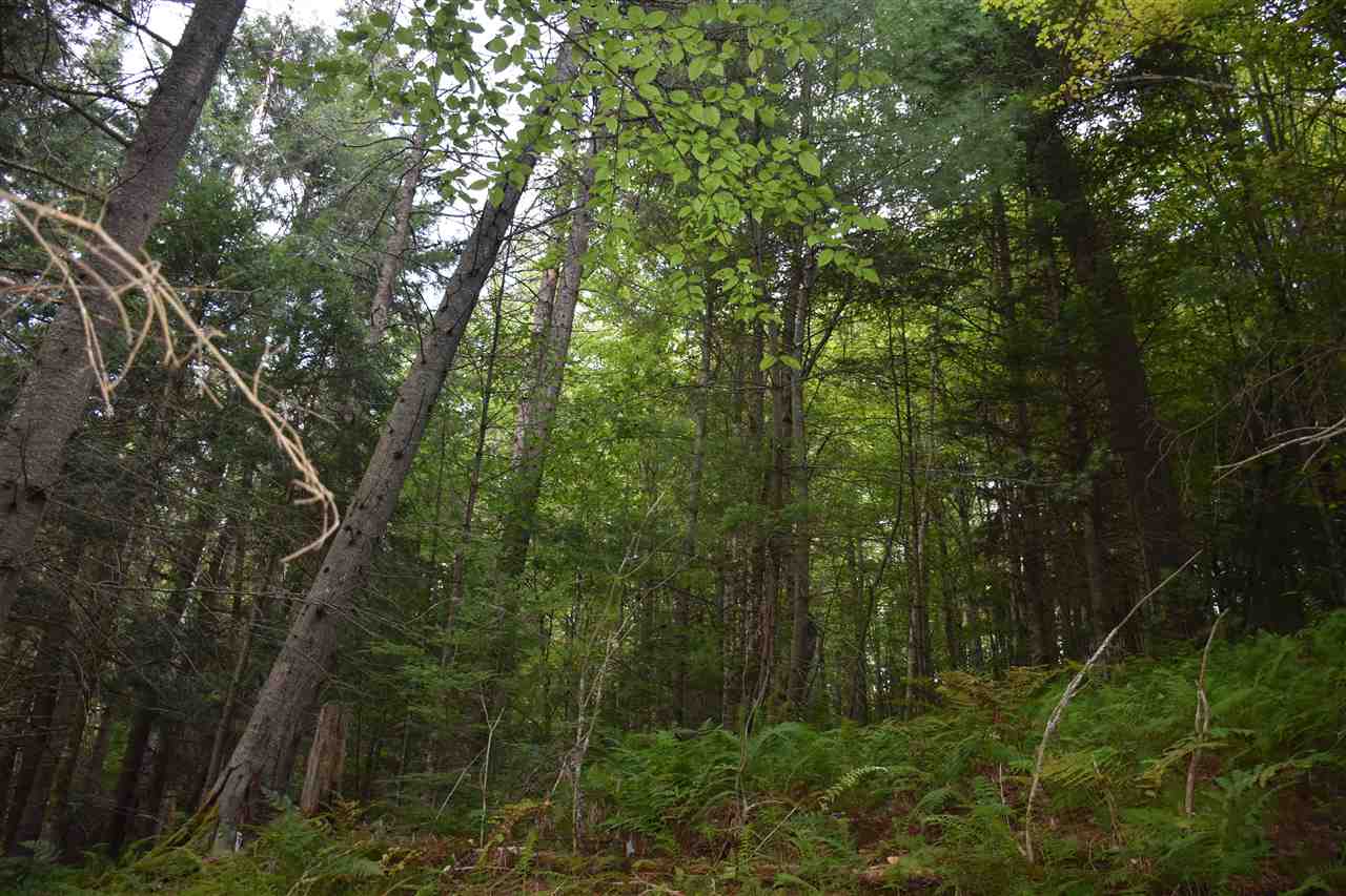 0 Recreation Field Road Plainfield, VT 05667 - Photo 5 of 28